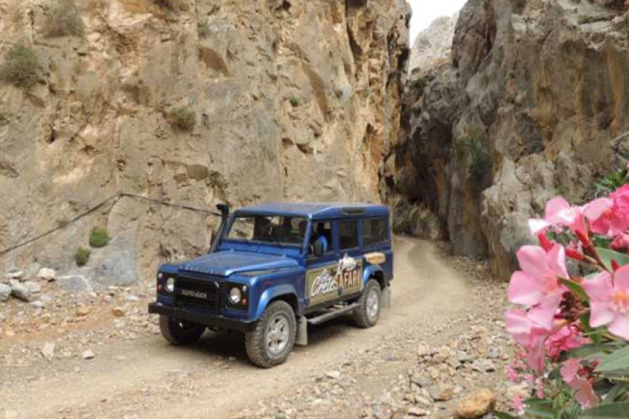 Jeep Safari