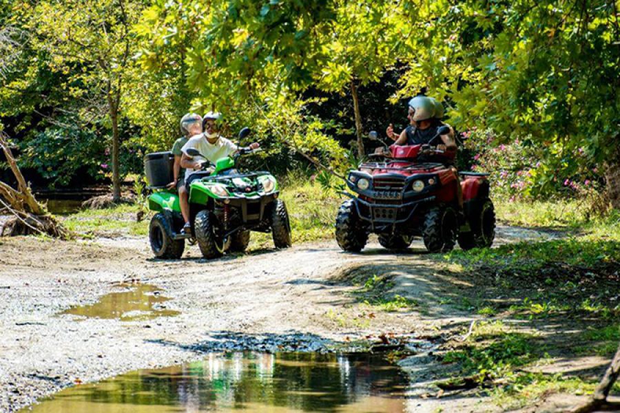 Quad Safari